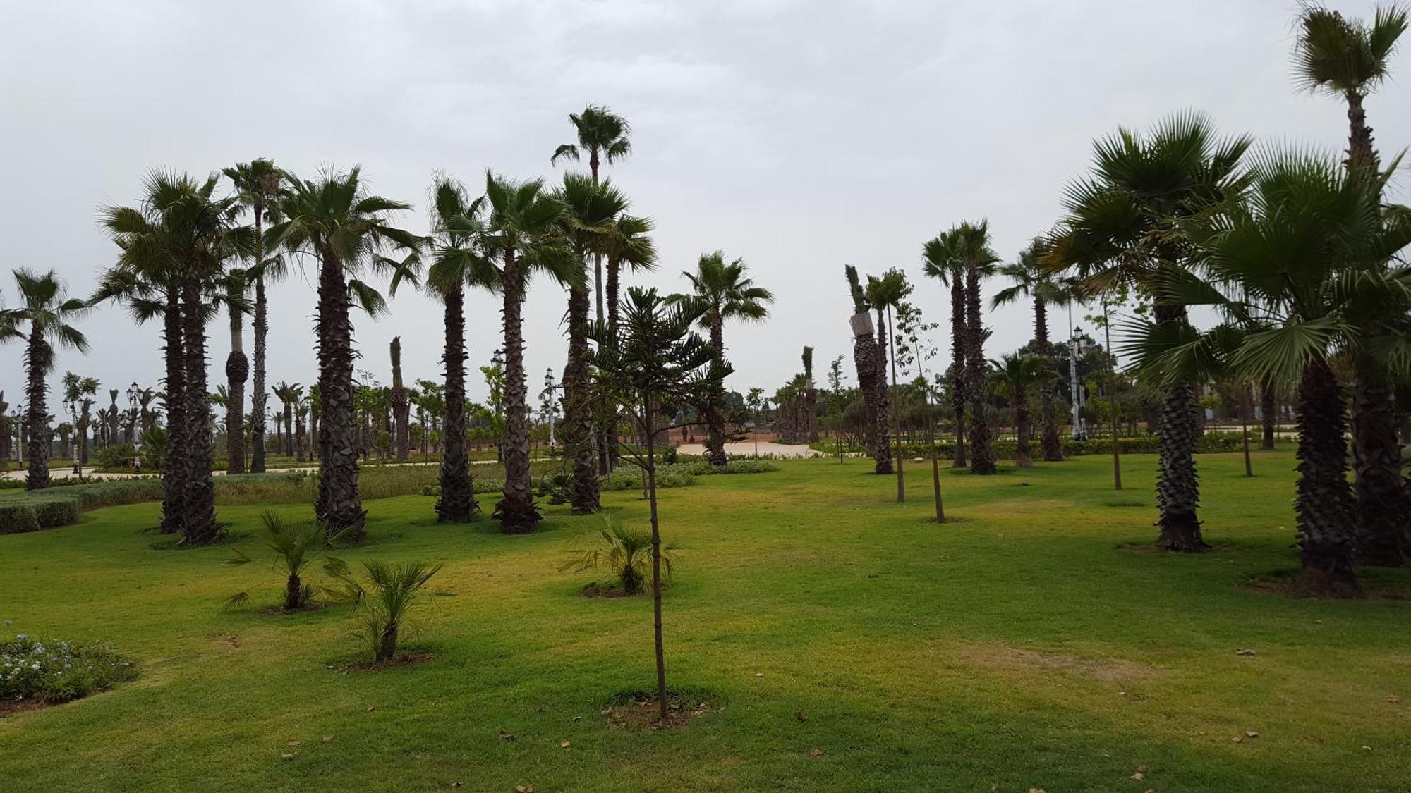Appartement Agreable Avec 2 Tres Belles Terrasses Au Coeur De Rabat Bagian luar foto